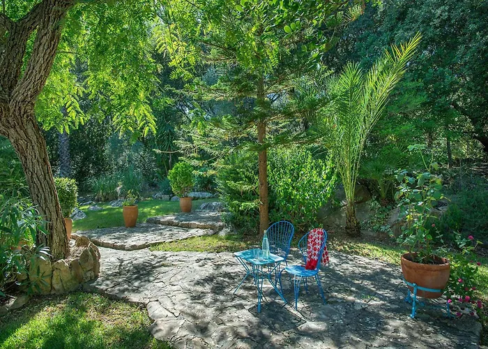 Les Oliveres Vall De Colonya By Vintage Travel