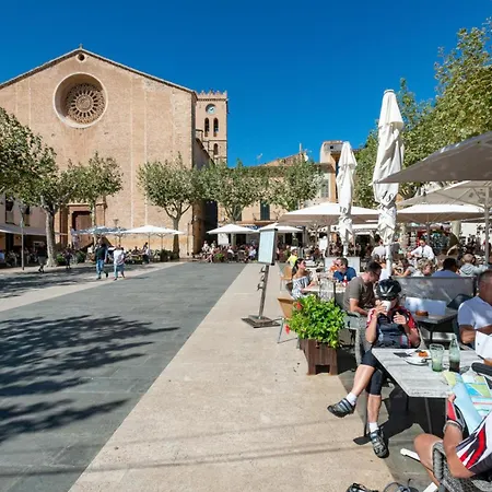 Les Oliveres Vall De Colonya By Vintage Travel