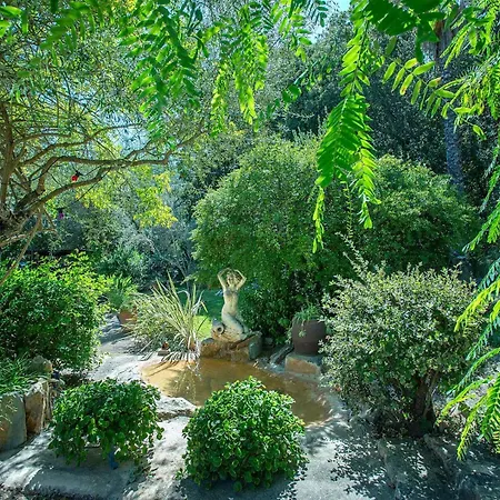 Les Oliveres Vall De Colonya By Vintage Travel וילה