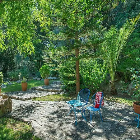 Les Oliveres Vall De Colonya By Vintage Travel