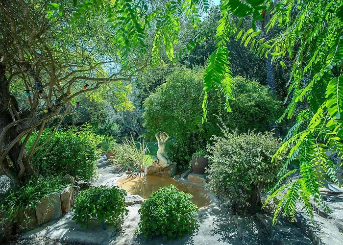 Les Oliveres Vall De Colonya By Vintage Travel Βίλα